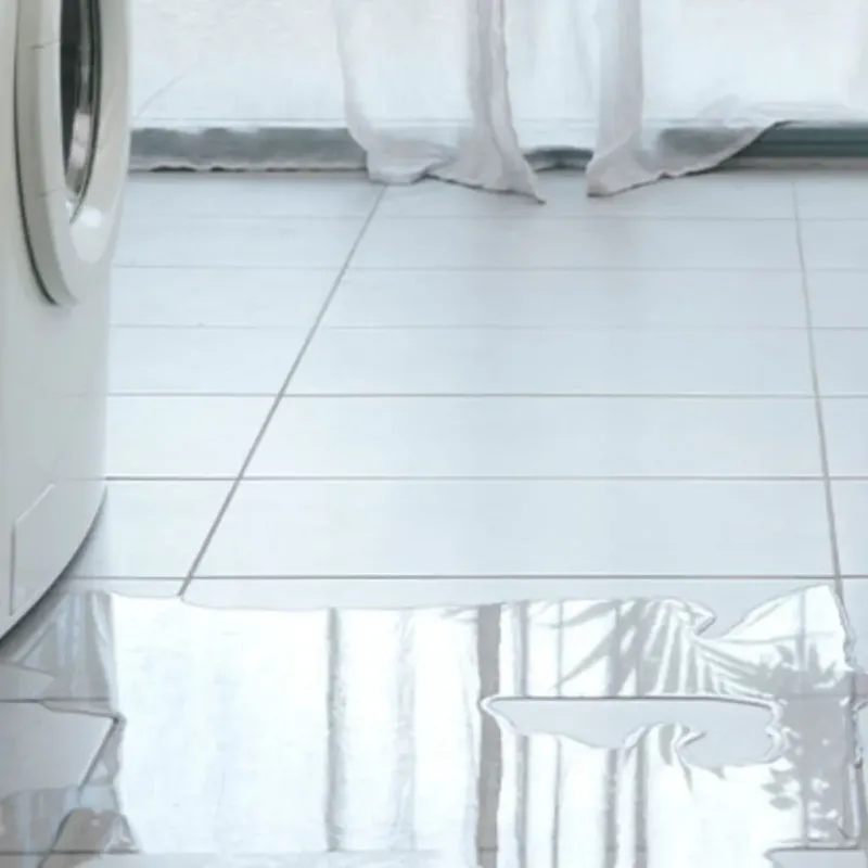 Appliance Leak Cleanup in Lee, MA