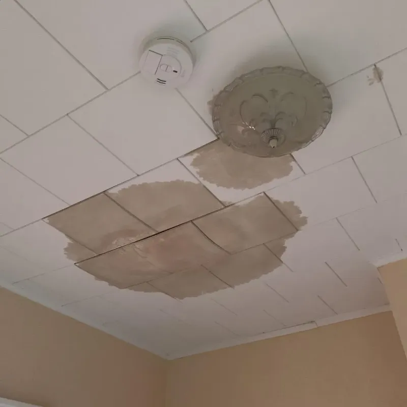 Ceiling Water Damage Repair in Lee, MA