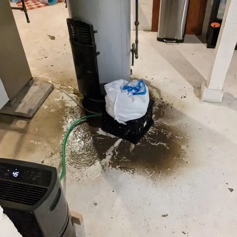 Sewage Backup Cleanup Service in Lee, MA